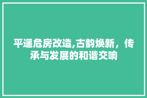平遥危房改造,古韵焕新，传承与发展的和谐交响