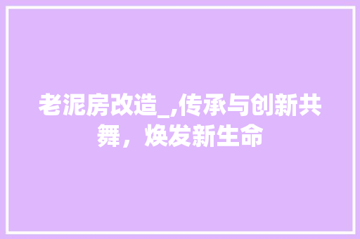 老泥房改造_,传承与创新共舞，焕发新生命