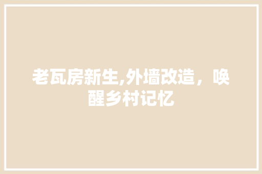 老瓦房新生,外墙改造，唤醒乡村记忆
