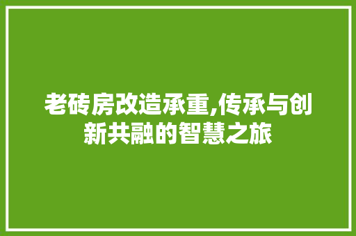 老砖房改造承重,传承与创新共融的智慧之旅