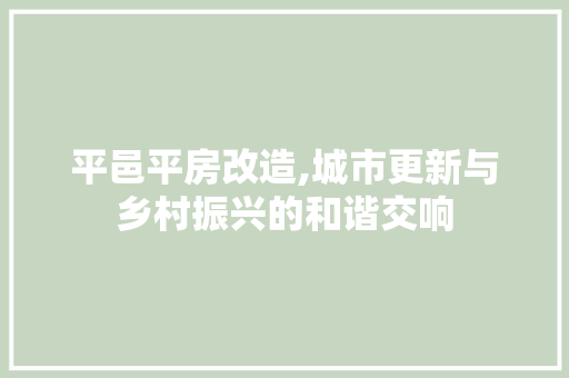 平邑平房改造,城市更新与乡村振兴的和谐交响