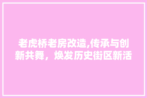 老虎桥老房改造,传承与创新共舞，焕发历史街区新活力