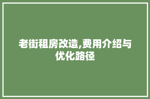 老街租房改造,费用介绍与优化路径