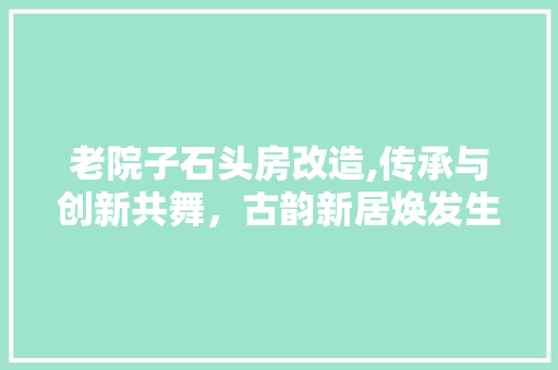 老院子石头房改造,传承与创新共舞，古韵新居焕发生机