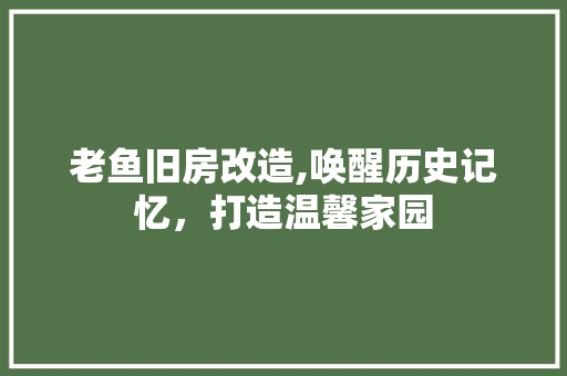 老鱼旧房改造,唤醒历史记忆，打造温馨家园
