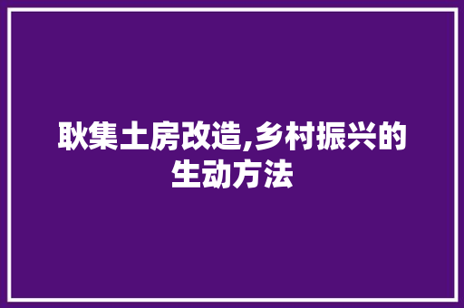耿集土房改造,乡村振兴的生动方法