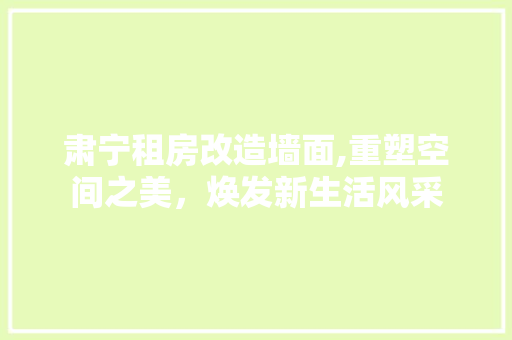 肃宁租房改造墙面,重塑空间之美，焕发新生活风采