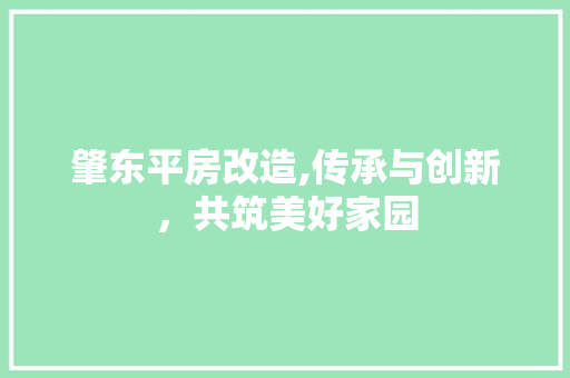 肇东平房改造,传承与创新，共筑美好家园