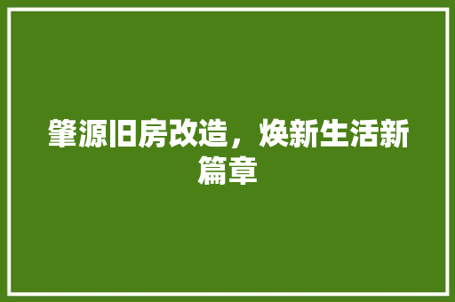 肇源旧房改造，焕新生活新篇章