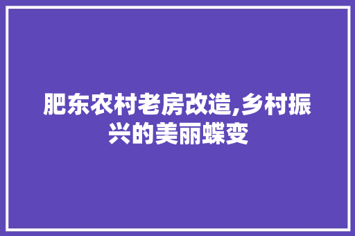 肥东农村老房改造,乡村振兴的美丽蝶变