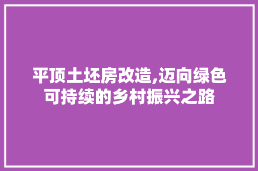 平顶土坯房改造,迈向绿色可持续的乡村振兴之路
