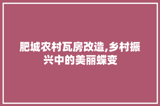 肥城农村瓦房改造,乡村振兴中的美丽蝶变