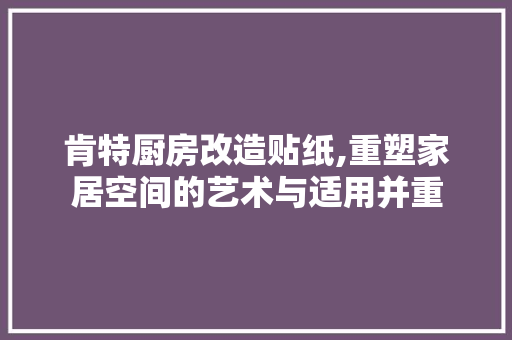 肯特厨房改造贴纸,重塑家居空间的艺术与适用并重