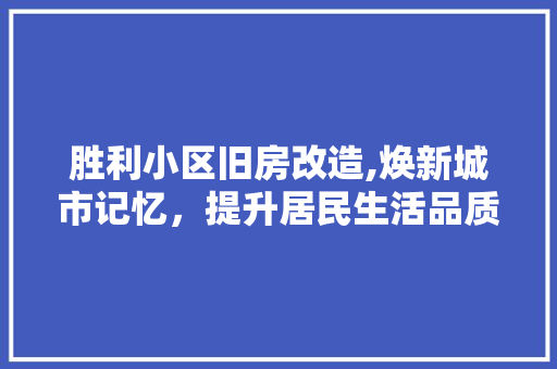 胜利小区旧房改造,焕新城市记忆，提升居民生活品质