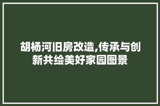 胡杨河旧房改造,传承与创新共绘美好家园图景