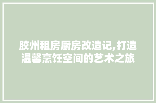 胶州租房厨房改造记,打造温馨烹饪空间的艺术之旅