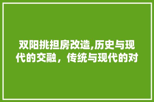 双阳挑担房改造,历史与现代的交融，传统与现代的对话