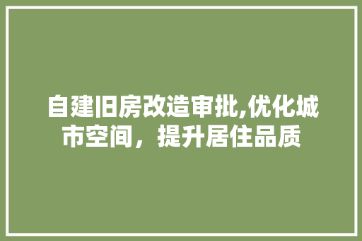 自建旧房改造审批,优化城市空间，提升居住品质