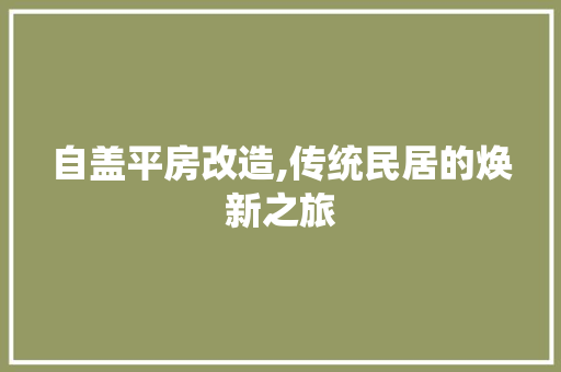 自盖平房改造,传统民居的焕新之旅