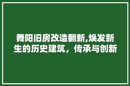 舞阳旧房改造翻新,焕发新生的历史建筑，传承与创新共存