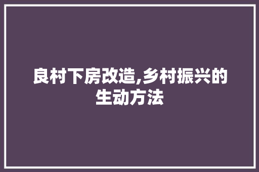 良村下房改造,乡村振兴的生动方法