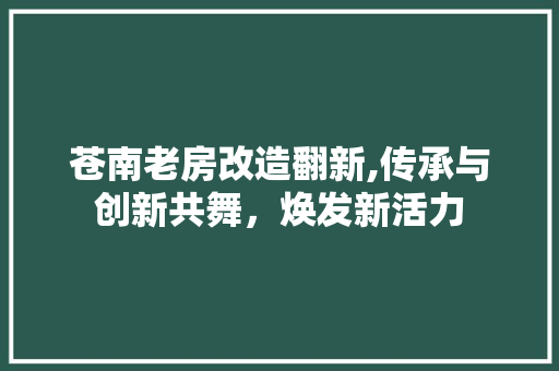 苍南老房改造翻新,传承与创新共舞，焕发新活力