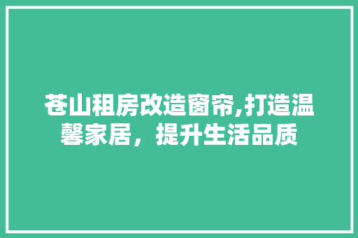 苍山租房改造窗帘,打造温馨家居，提升生活品质