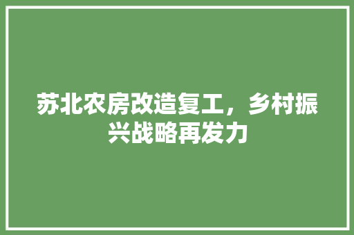 苏北农房改造复工，乡村振兴战略再发力