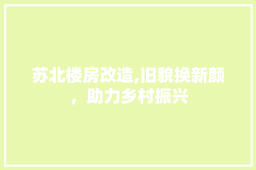 苏北楼房改造,旧貌换新颜，助力乡村振兴