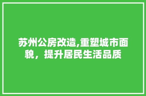 苏州公房改造,重塑城市面貌，提升居民生活品质