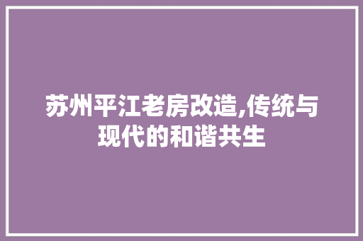 苏州平江老房改造,传统与现代的和谐共生