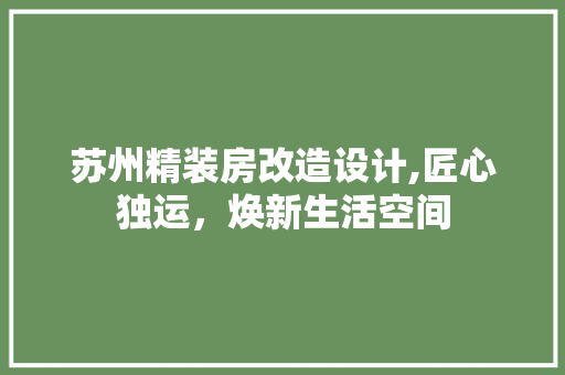 苏州精装房改造设计,匠心独运，焕新生活空间