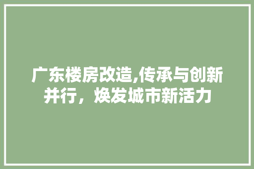 广东楼房改造,传承与创新并行，焕发城市新活力
