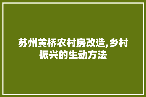 苏州黄桥农村房改造,乡村振兴的生动方法