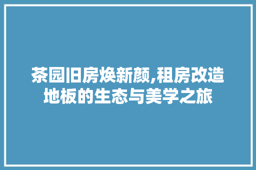 茶园旧房焕新颜,租房改造地板的生态与美学之旅