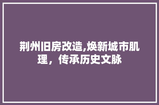 荆州旧房改造,焕新城市肌理，传承历史文脉