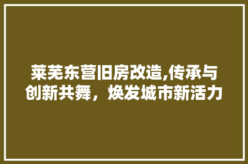 莱芜东营旧房改造,传承与创新共舞，焕发城市新活力