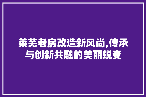 莱芜老房改造新风尚,传承与创新共融的美丽蜕变