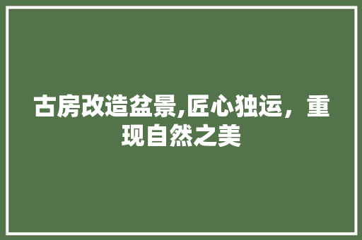 古房改造盆景,匠心独运，重现自然之美