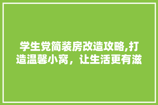 学生党简装房改造攻略,打造温馨小窝，让生活更有滋味