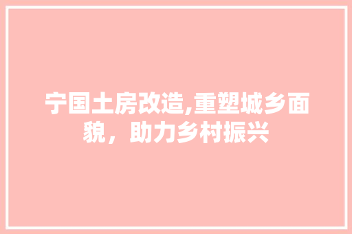 宁国土房改造,重塑城乡面貌，助力乡村振兴