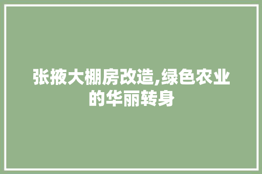 张掖大棚房改造,绿色农业的华丽转身