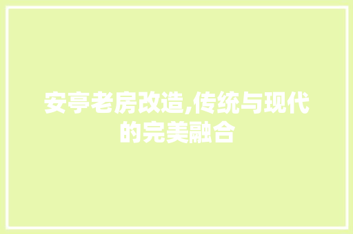 安亭老房改造,传统与现代的完美融合