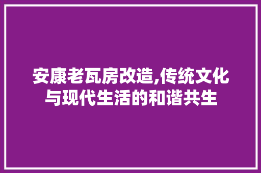 安康老瓦房改造,传统文化与现代生活的和谐共生