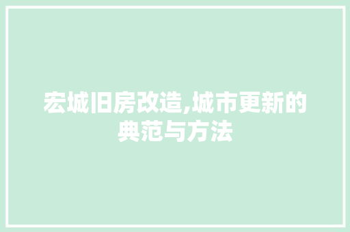 宏城旧房改造,城市更新的典范与方法