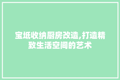宝坻收纳厨房改造,打造精致生活空间的艺术