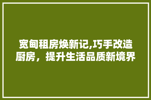 宽甸租房焕新记,巧手改造厨房，提升生活品质新境界