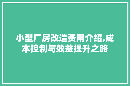 小型厂房改造费用介绍,成本控制与效益提升之路