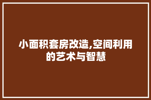 小面积套房改造,空间利用的艺术与智慧