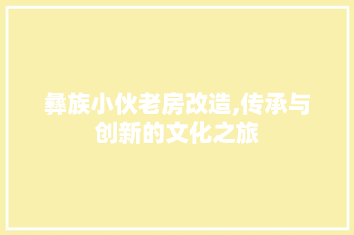 彝族小伙老房改造,传承与创新的文化之旅
